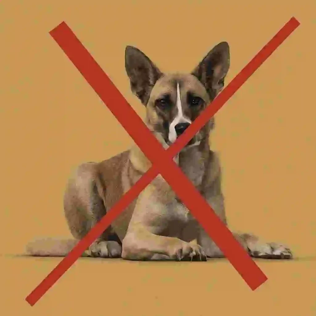 Banned dog breeds in India