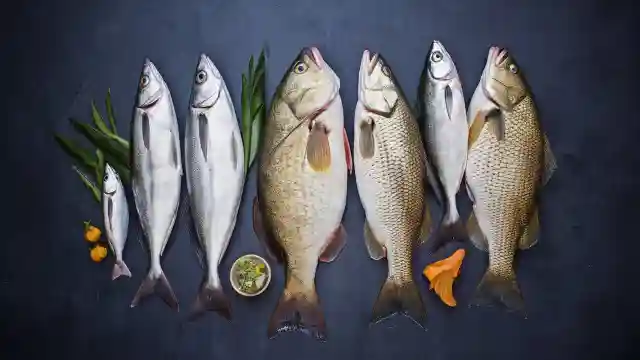 Fish Like Vanjaram