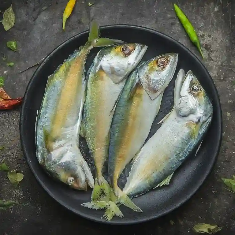 Indian Mackerel (Bangda) Fish