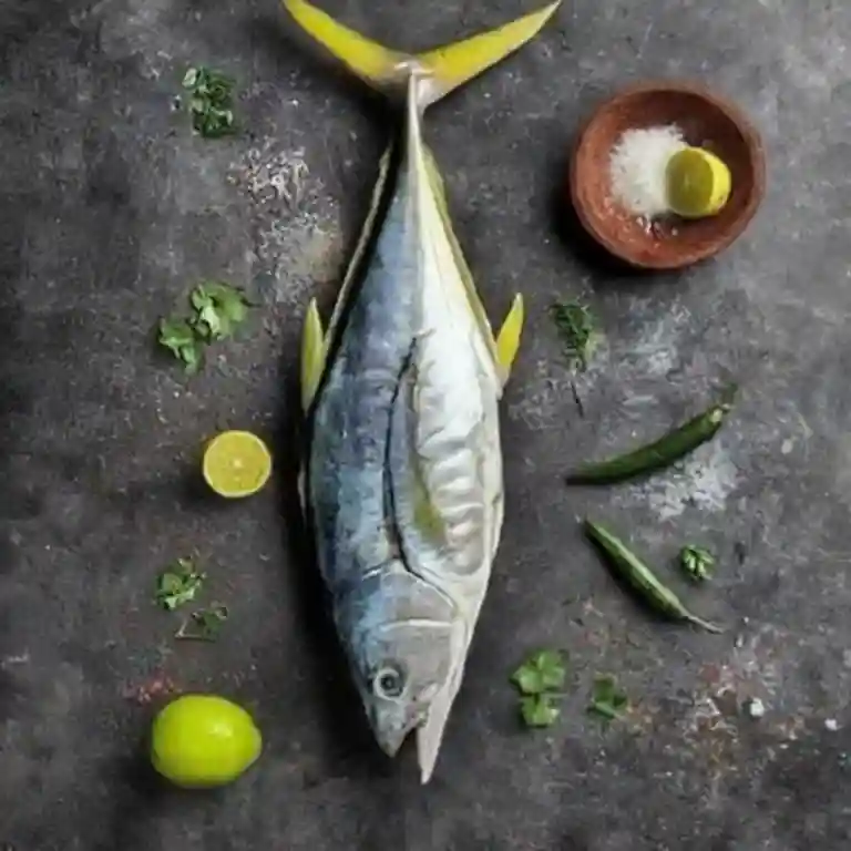 Kingfish (Surmai) Fish