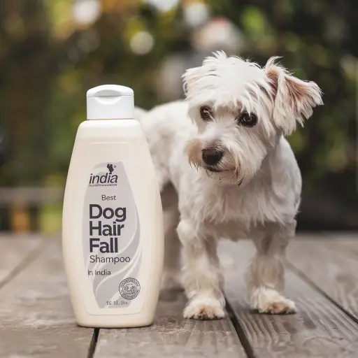 Best Dog Hair Fall Shampoo in India